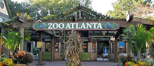 Image result for atlanta georgia zoo