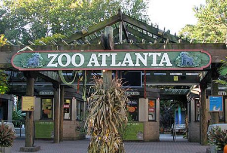 are dogs allowed at zoo atlanta