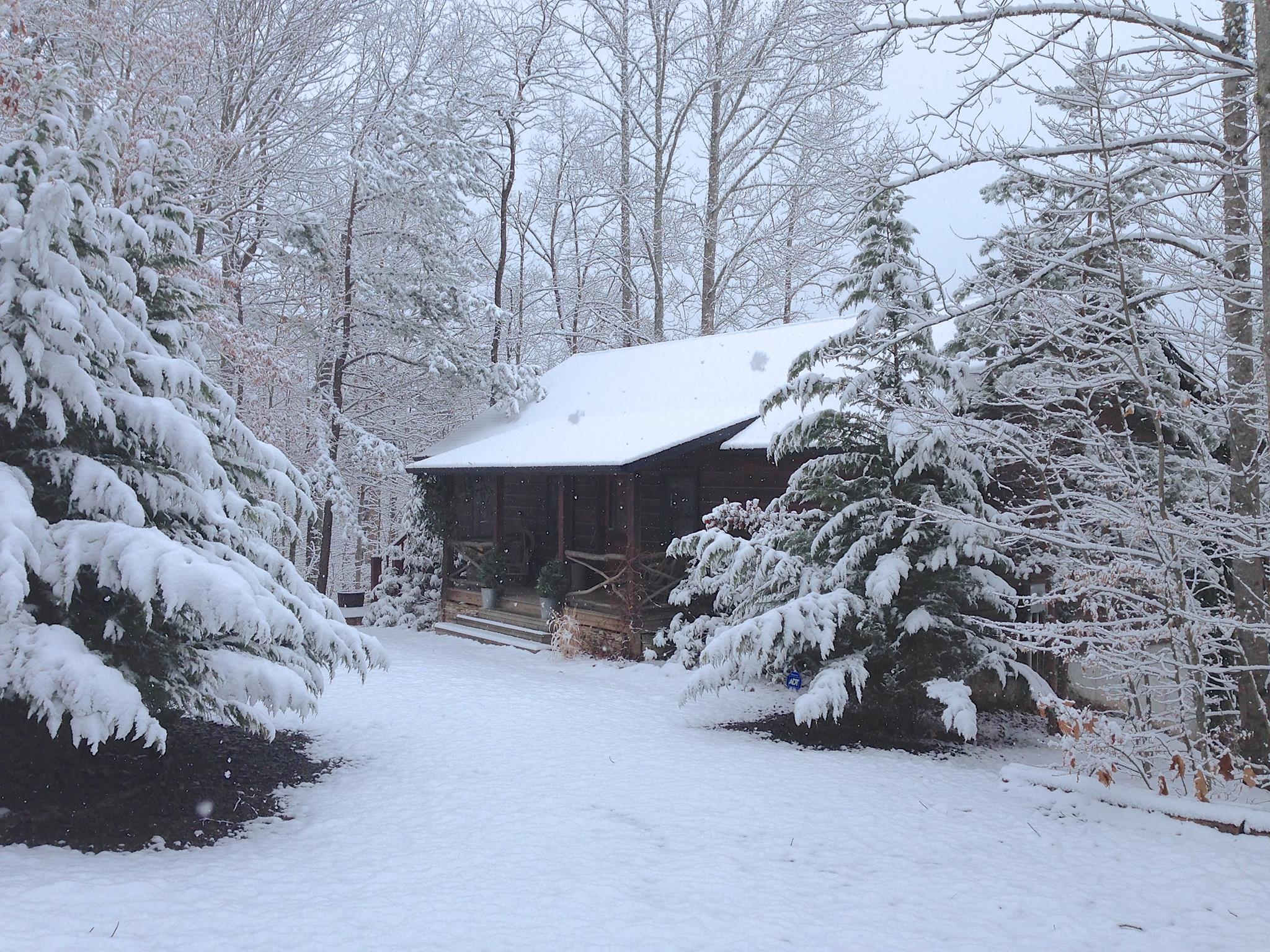 Gorgeous Winter Photos That Will Make You Wish For Snow 